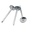 Umbrella Roofing Nail