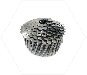 Stainless Steel Coil Roofing Nails