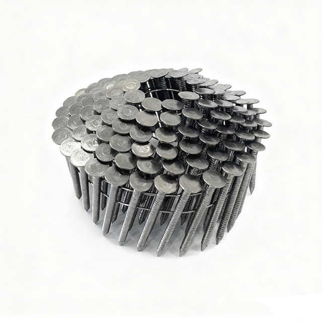 Stainless Steel Coil Roofing Nails