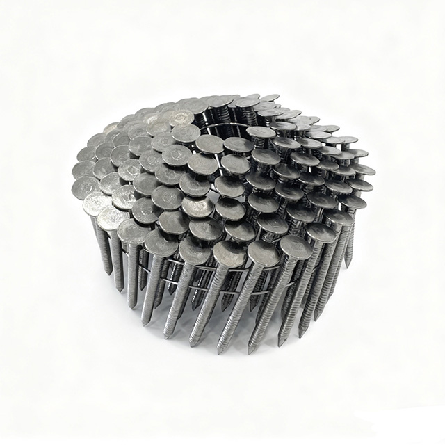 Stainless Steel Coil Roofing Nails Stainless Steel Coil Roofing Nails