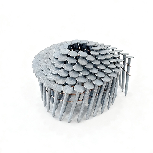 HDG Coil Roofing Nail