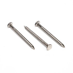 Stainless Steel Roofing Nails