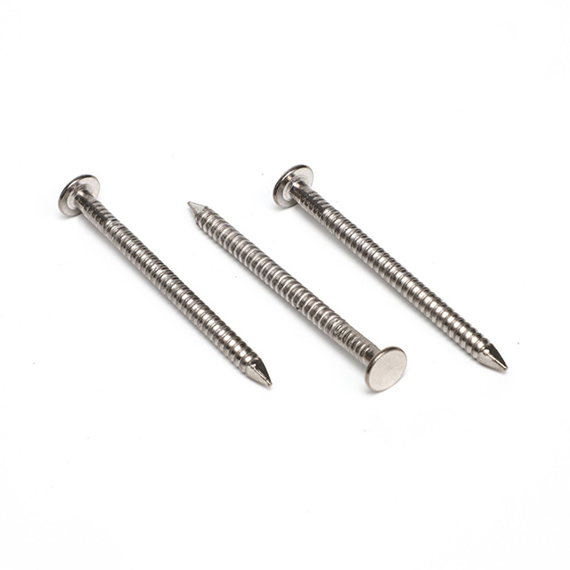 Stainless Steel Roofing Nails