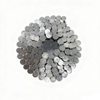 Stainless Steel Coil Roofing Nails