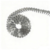 Stainless Steel Coil Roofing Nails